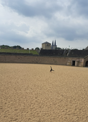 Bildschirm­foto 2025-07-24 um 12.46.50.png