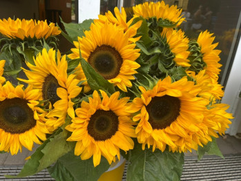 Begrüßungsfeier 2025 2.jpg